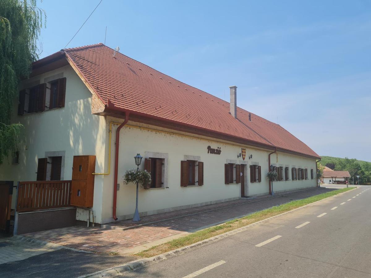 SzabolcsToroes Panzio住宿加早餐旅馆 外观 照片